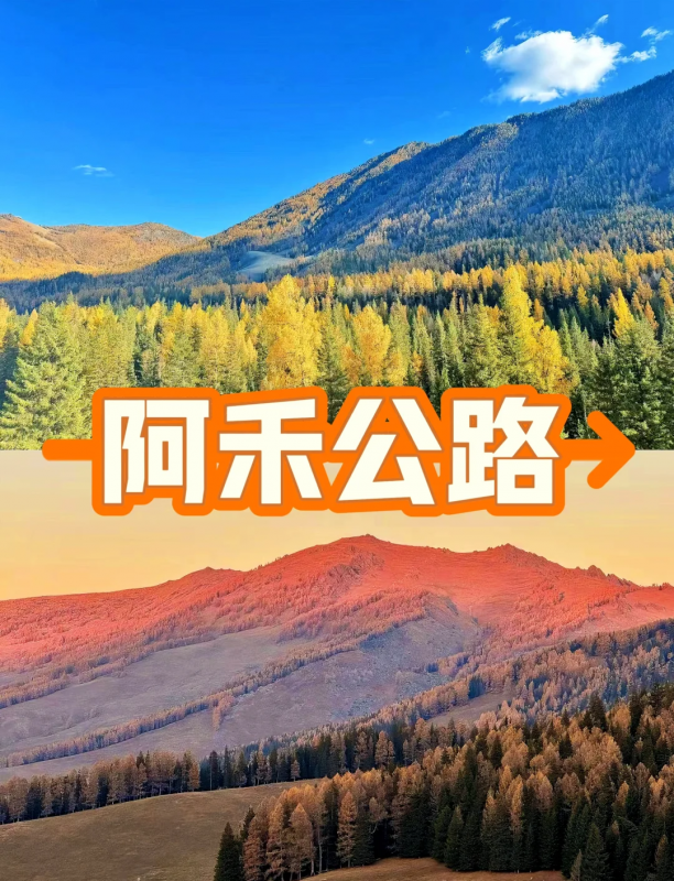 阿禾公路简介