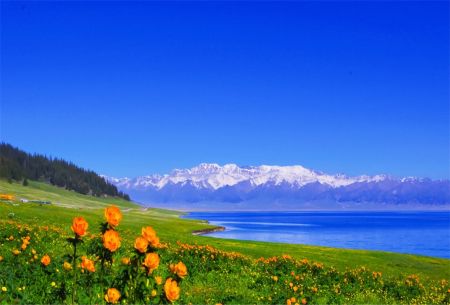 天山天池+喀纳斯+伊犁+吐鲁番深度环线8日游